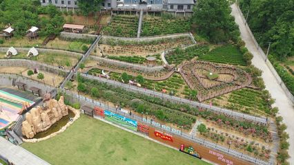 安康市漢濱區(qū)龍頭灣&middot;茶語漫游AAA級(jí)景區(qū)邀你打卡