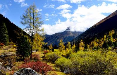 四川省林業(yè)廳領(lǐng)導(dǎo)到達(dá)古冰山考察調(diào)研