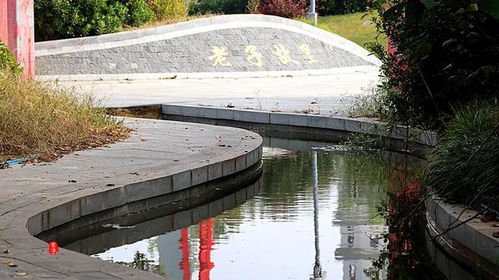 游覽過周口這座公園,其所轄各市縣區(qū)的景點(diǎn)就不必去了 中
